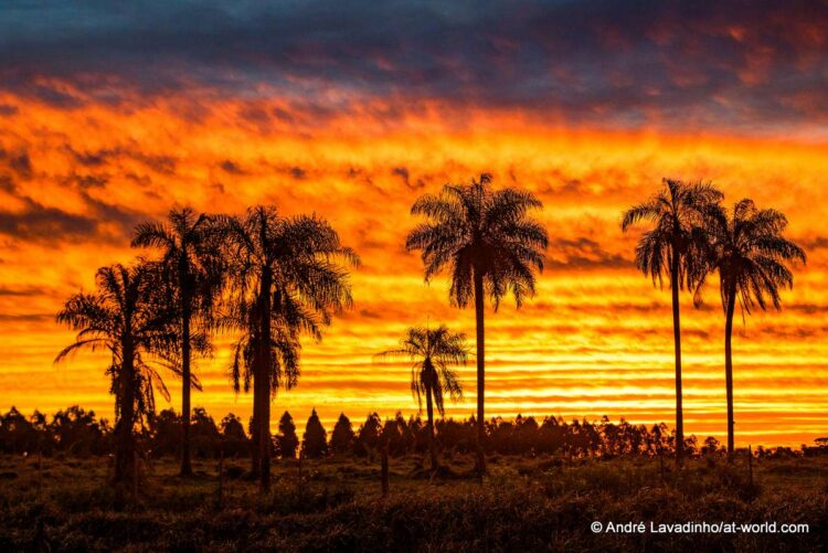 SUUR GALERII: Vaata millised olud on Ott Tänakut ja teisi võistlejaid ees ootamas Paraguay MM-rallil