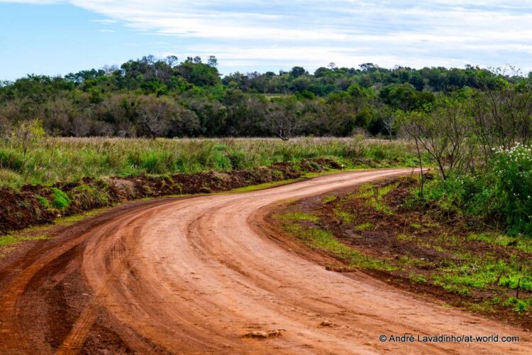 SUUR GALERII: Vaata millised olud on Ott Tänakut ja teisi võistlejaid ees ootamas Paraguay MM-rallil