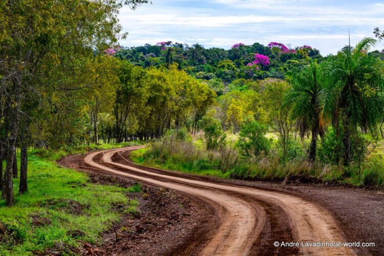 SUUR GALERII: Vaata millised olud on Ott Tänakut ja teisi võistlejaid ees ootamas Paraguay MM-rallil