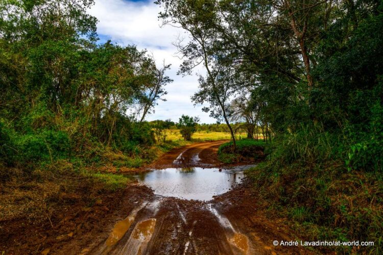 SUUR GALERII: Vaata millised olud on Ott Tänakut ja teisi võistlejaid ees ootamas Paraguay MM-rallil