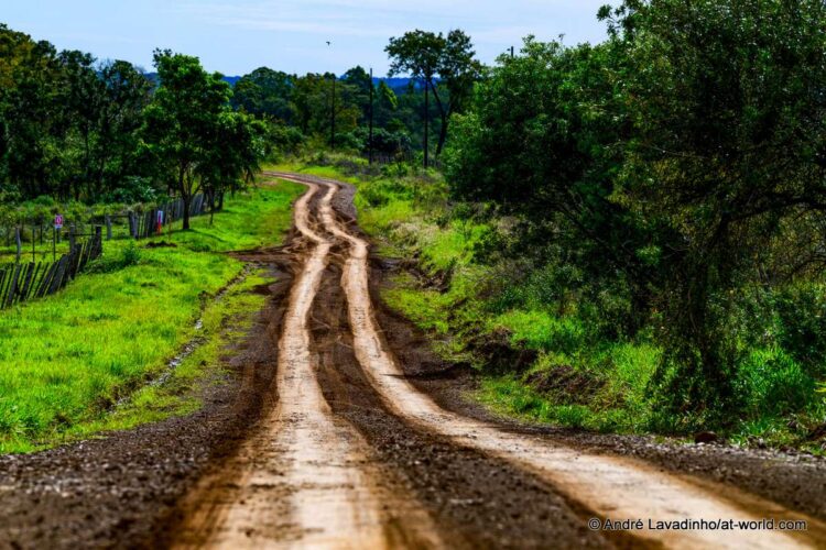 SUUR GALERII: Vaata millised olud on Ott Tänakut ja teisi võistlejaid ees ootamas Paraguay MM-rallil