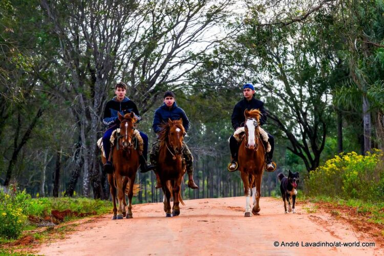 SUUR GALERII: Vaata millised olud on Ott Tänakut ja teisi võistlejaid ees ootamas Paraguay MM-rallil