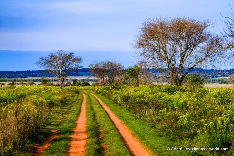 SUUR GALERII: Vaata millised olud on Ott Tänakut ja teisi võistlejaid ees ootamas Paraguay MM-rallil