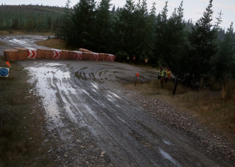 Assetto Corsa Rally