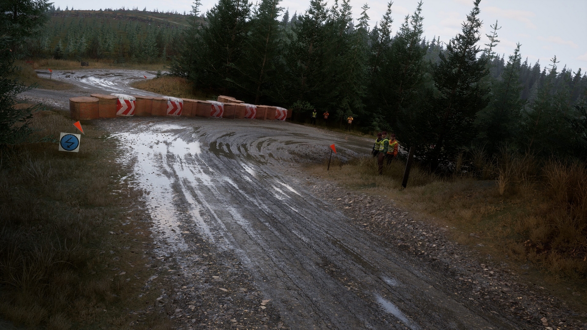 Assetto Corsa Rally