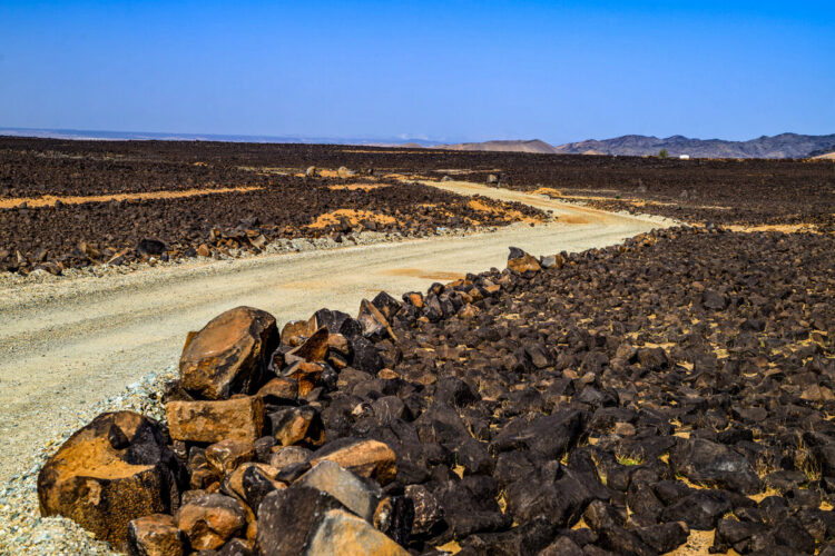 Saudi-Arabia MM-ralli 2025, Foto: André Lavadinho