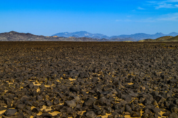 Saudi-Arabia MM-ralli 2025, Foto: André Lavadinho