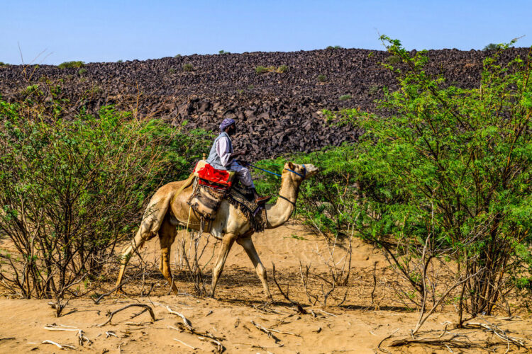 Saudi-Arabia MM-ralli 2025, Foto: André Lavadinho