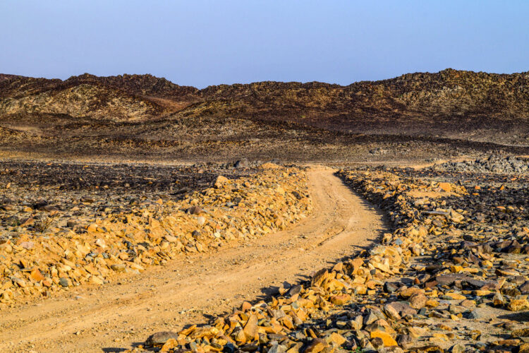 Saudi-Arabia MM-ralli 2025, Foto: André Lavadinho