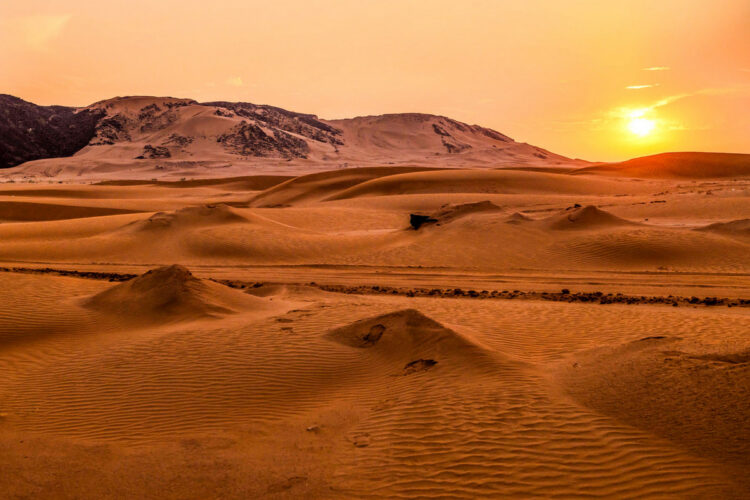 Saudi-Araabia MM-ralli 2025, Foto: André Lavadinho