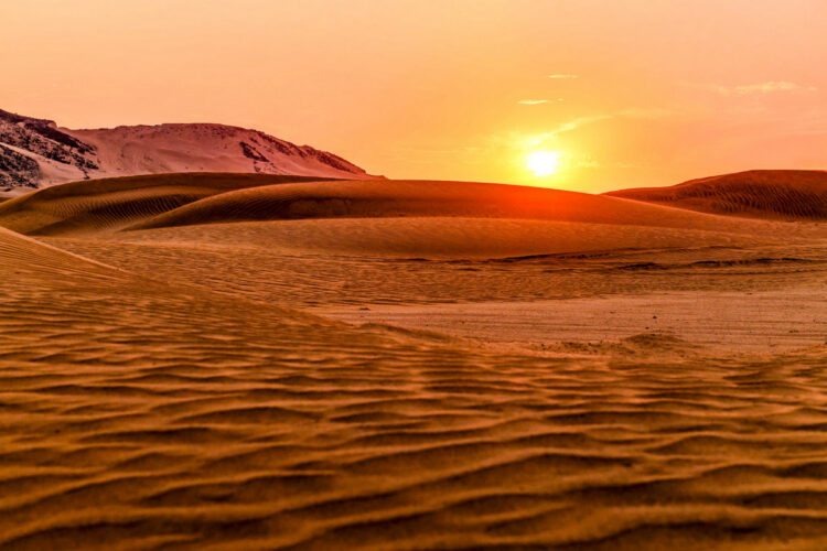 Saudi-Araabia MM-ralli 2025, Foto: André Lavadinho