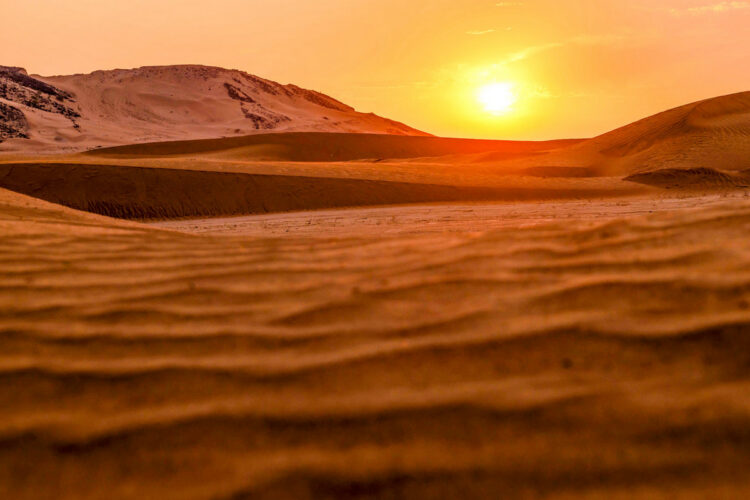 Saudi-Araabia MM-ralli 2025, Foto: André Lavadinho