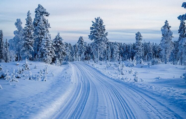 Arctic Lapland Rally - Lapimaa teed on ralliks valmis. Foto: Timo Korkalainen / Arctic Lapland Rally