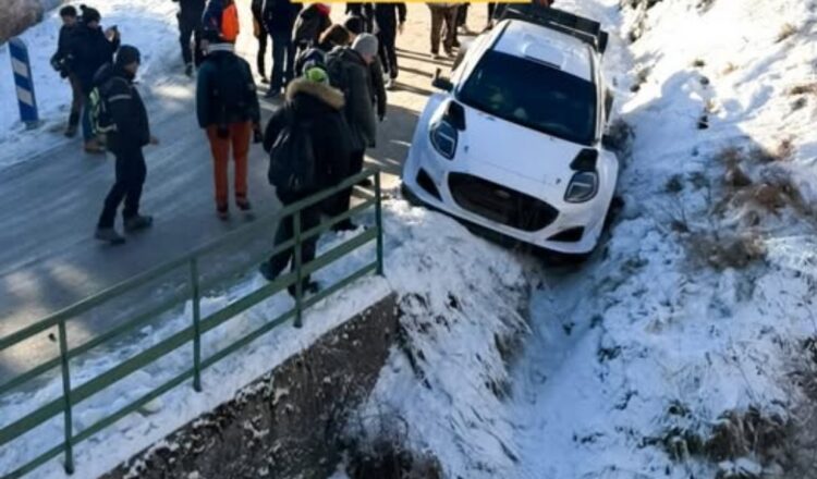 Foto:João Castro Pereira