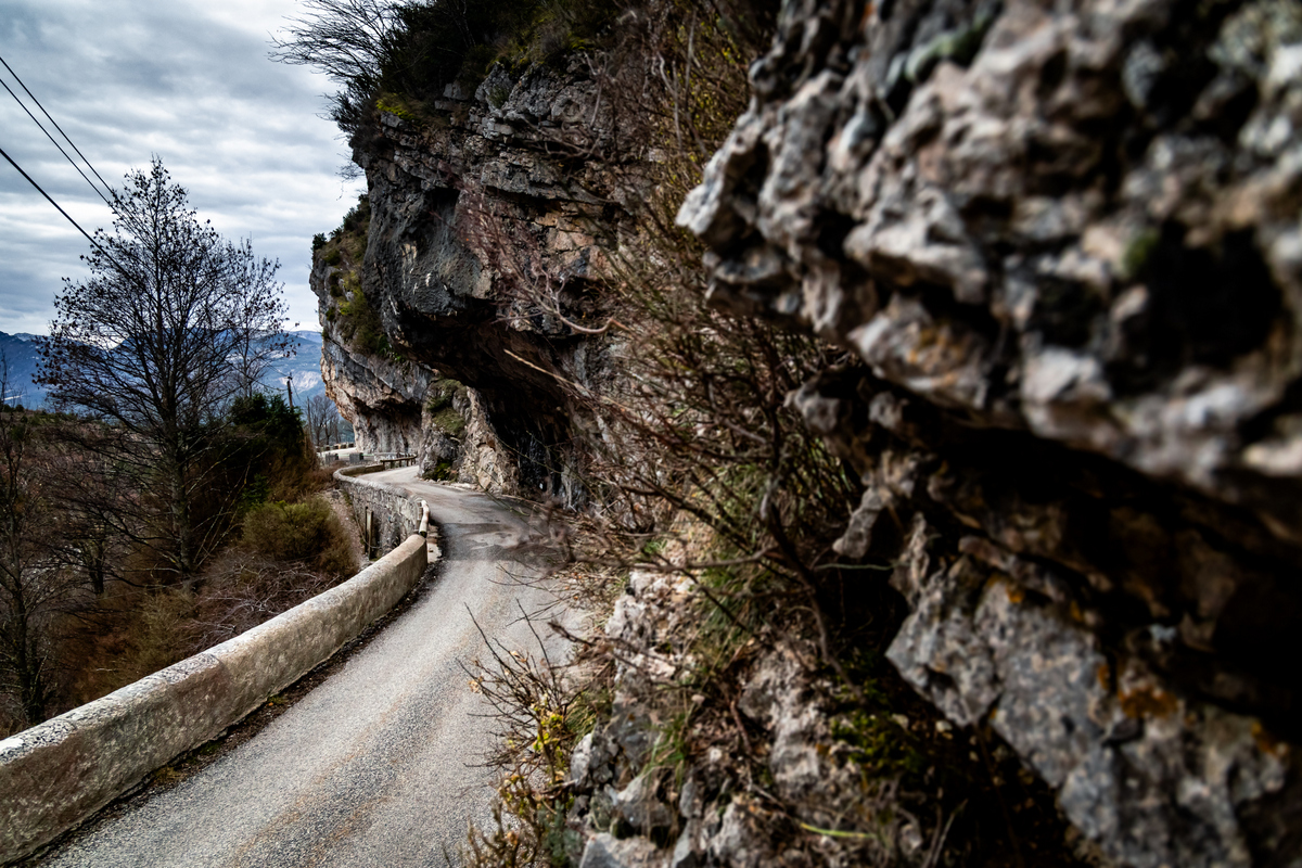 Monte Carlo MM-ralli 2026, Foto: M-Sport