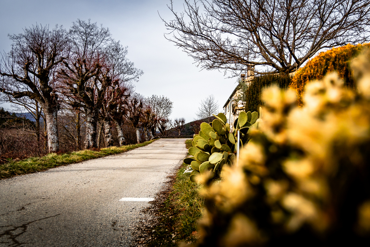 Monte Carlo MM-ralli 2026, Foto: M-Sport