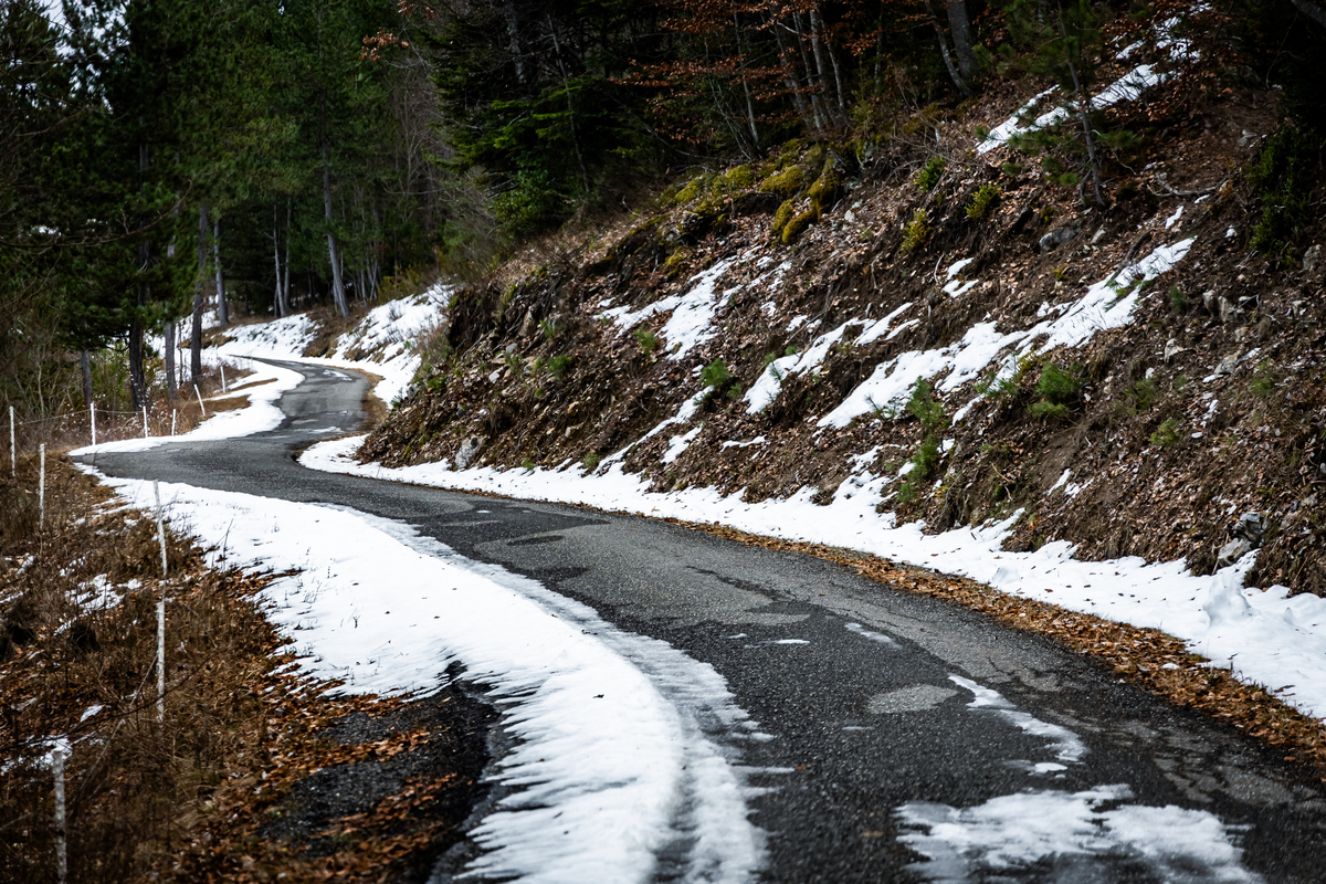 Monte Carlo MM-ralli 2026, Foto: M-Sport