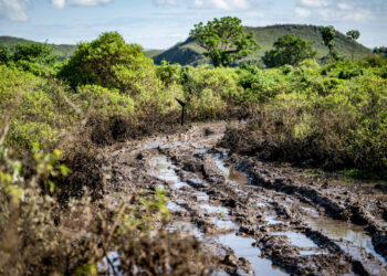 Keenia Safari ralli 2026 Foto Honza Fronek / Rally-Mania
