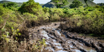 Keenia Safari ralli 2026 Foto Honza Fronek / Rally-Mania