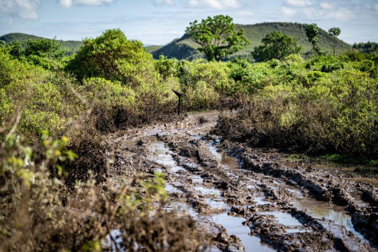 Keenia Safari ralli 2026 Foto Honza Fronek / Rally-Mania