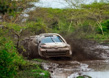 Foto: TGR WRT / McKlein