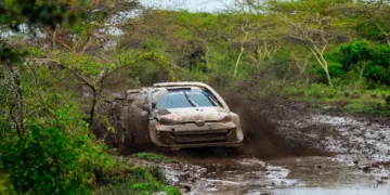 Foto: TGR WRT / McKlein