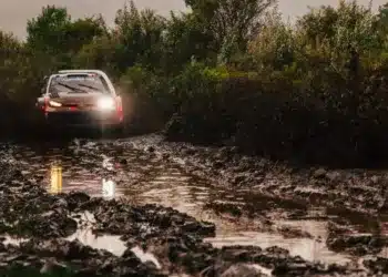 Foto: TGR WRT/McKlein