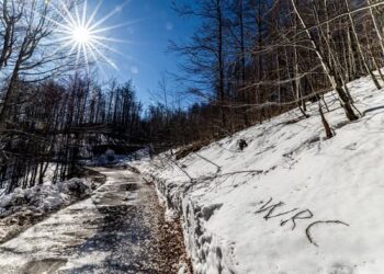 Horvaatia MM-ralli, Foto: Croatia Rally