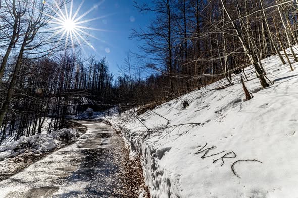 Horvaatia MM-ralli, Foto: Croatia Rally