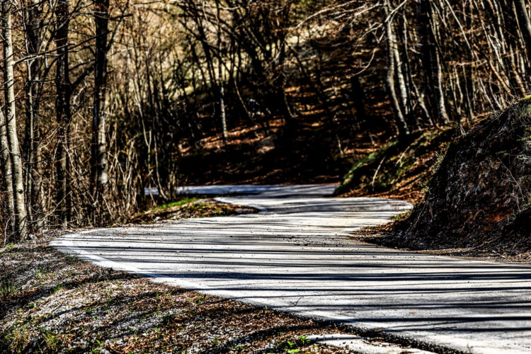 Horvaatia MM-ralli 2026, Foto: M-Sport