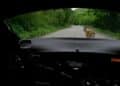 Kuvatõmmis: Rally.tv