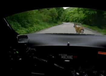Kuvatõmmis: Rally.tv