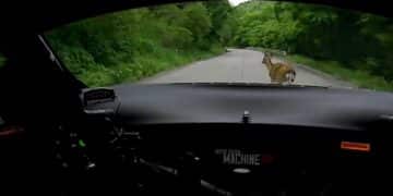 Kuvatõmmis: Rally.tv