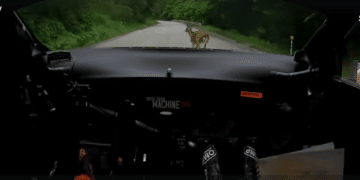 VIDEO: Vaata Oliver Solbergi ehmatavat intsidenti hirvedega Jaapani rallil