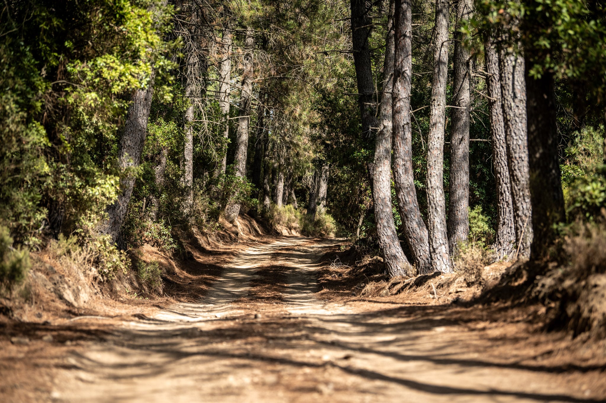 Sardiinia ralli 2026, Foto: M-Sport